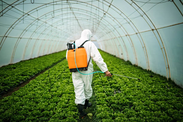 Best Pest Removal Services  in Murfreesboro, TN