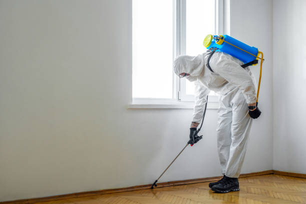 Professional Pest Control in Murfreesboro, TN