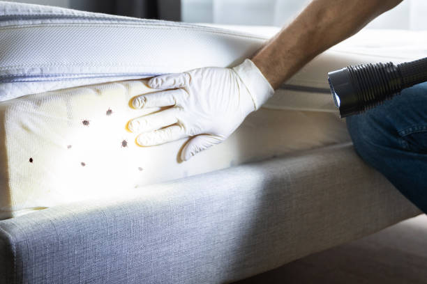 Best Affordable Pest Control Services  in Murfreesboro, TN