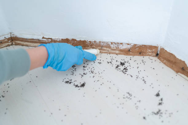 Best Commercial Pest Control Services  in Murfreesboro, TN