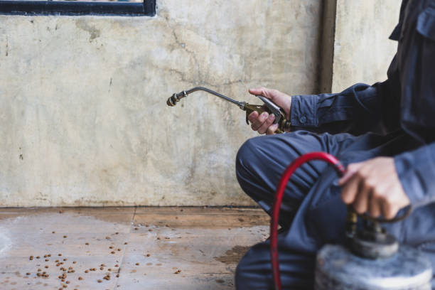 Reliable Murfreesboro, TN Pest Control Solutions