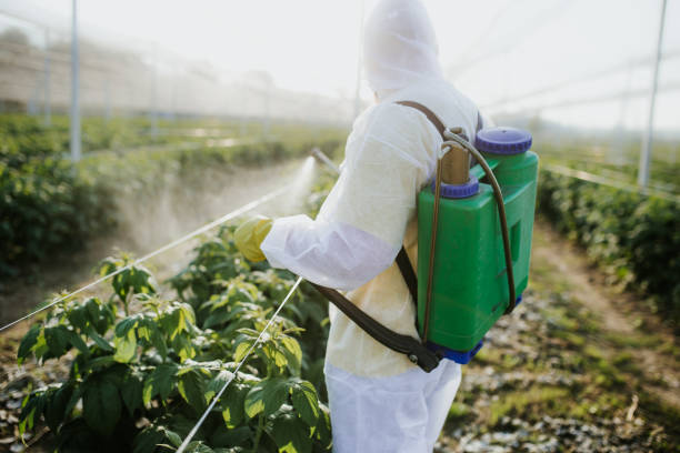Best Exterminator Services  in Murfreesboro, TN